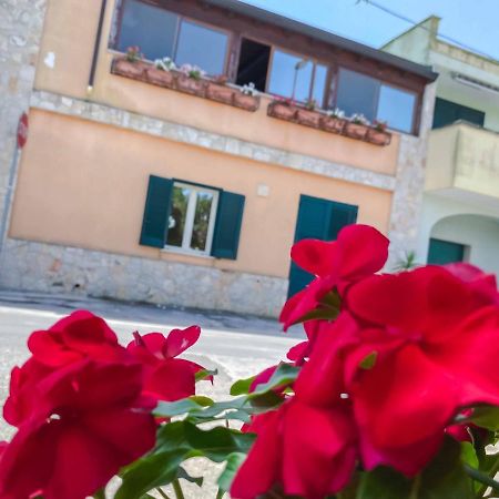 Aparthotel Cortellenica トッレ・サン・ジョヴァンニ・ウジェント エクステリア 写真